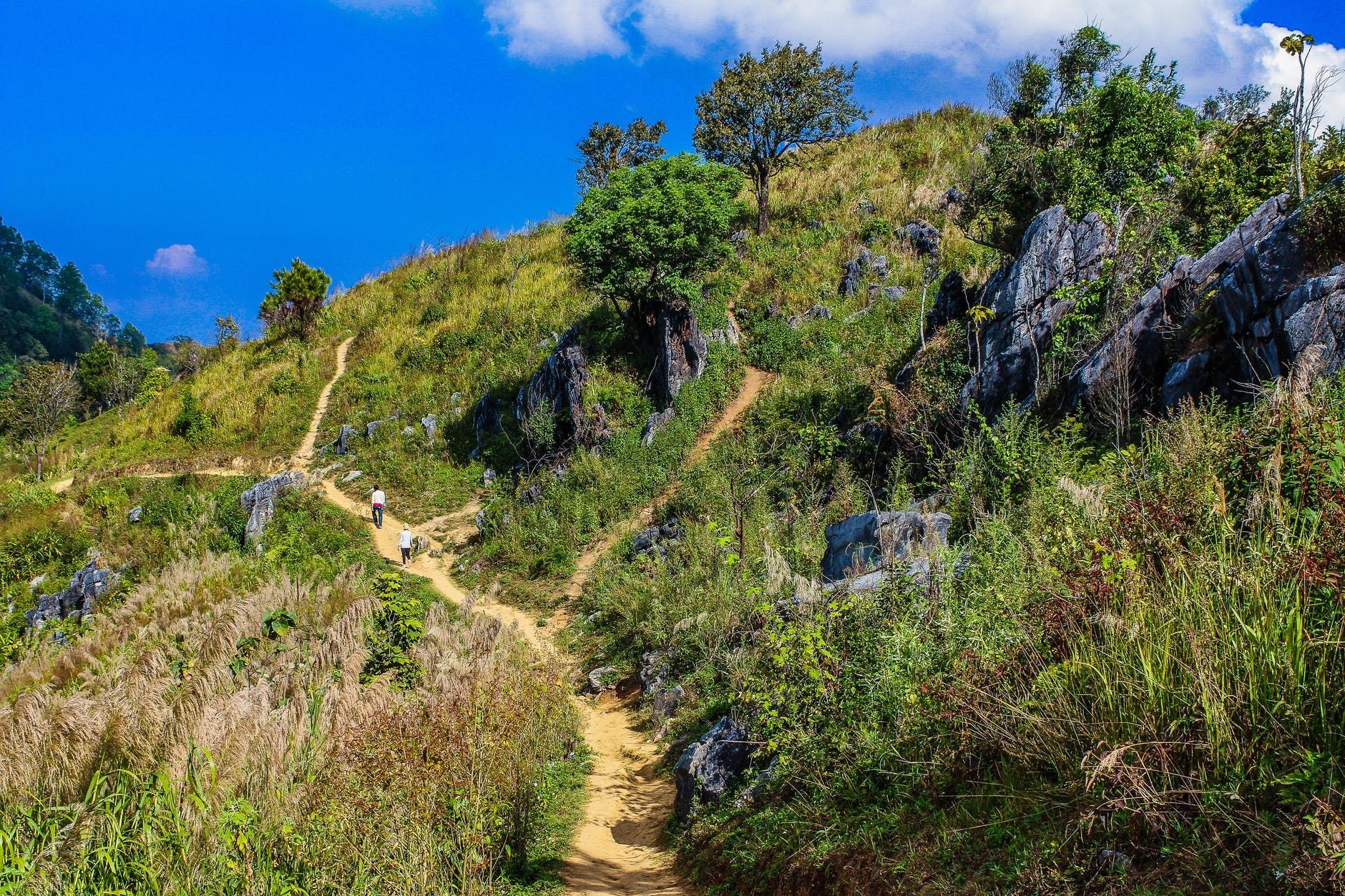 Hero image for Summer 2020, credit: Pexels.com